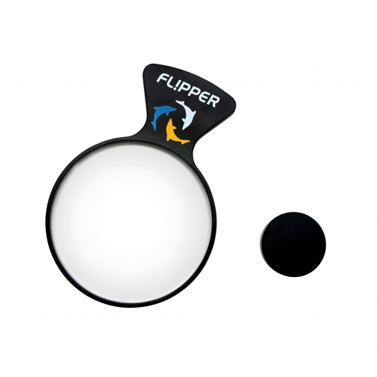 Flipper - DeepSee Viewer 5''