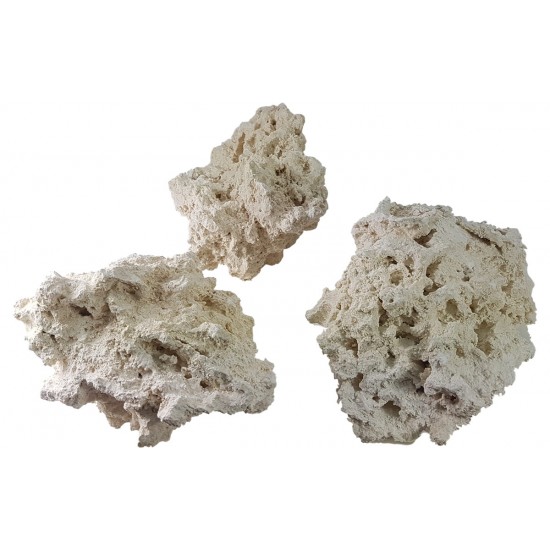 Nature's Ocean – Natural Coral Reef Rock – Doğal Resif Kayası – 18,14 KG