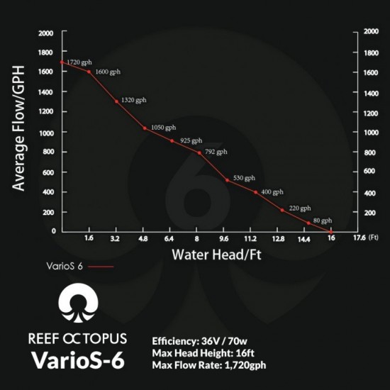 Reef Octopus - VarioS-6